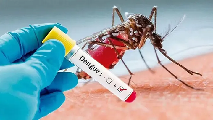 ডেঙ্গুতে আরও ৬ জনের মৃত্যু