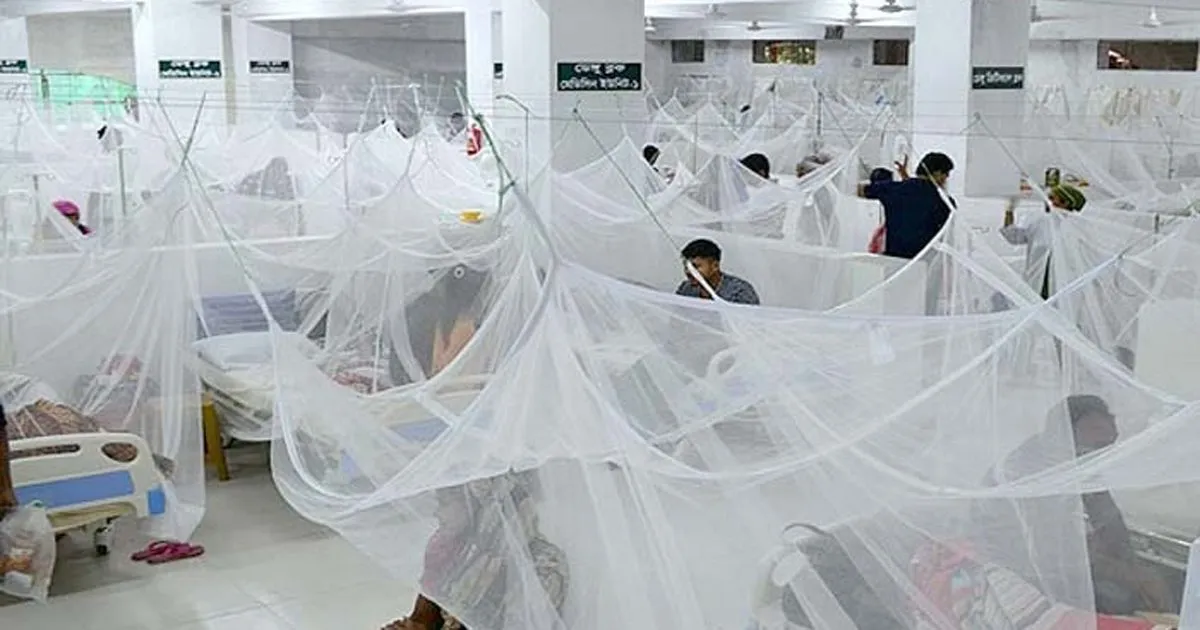 Dengue fever: 15 dead, 2,944 hospitalised in a day