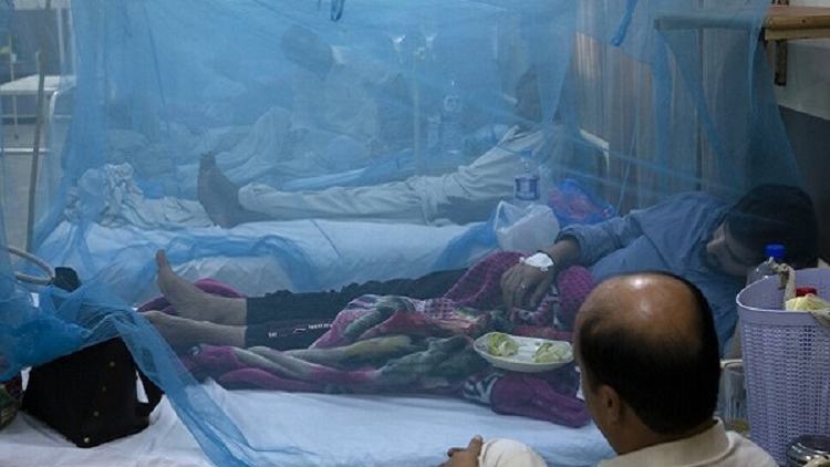 3 dies in Dengue fever, 712 hospitalised in 24 hrs