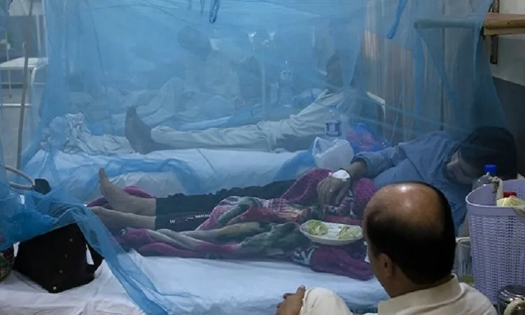 3 dies in Dengue fever, 712 hospitalised in 24 hrs