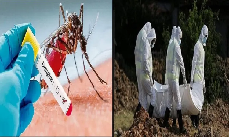 ডেঙ্গুতে সর্বোচ্চ ১৬ মৃত্যু, হাসপাতালে ২৪১৮ জন