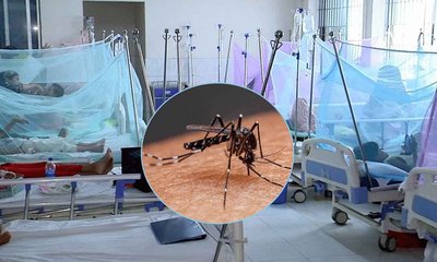 Dengue_20240531_210150067