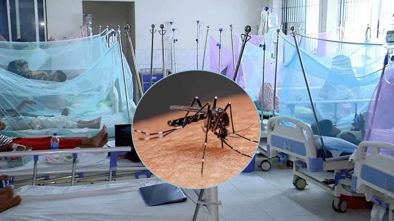 Dengue_20240531_210150067