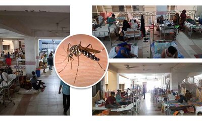 Dengue_20240929_185914430