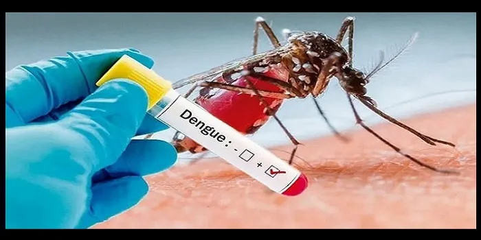 ডেঙ্গুতে আরও দুজনের মৃত্যু, হাসপাতালে ভর্তি ৩১
