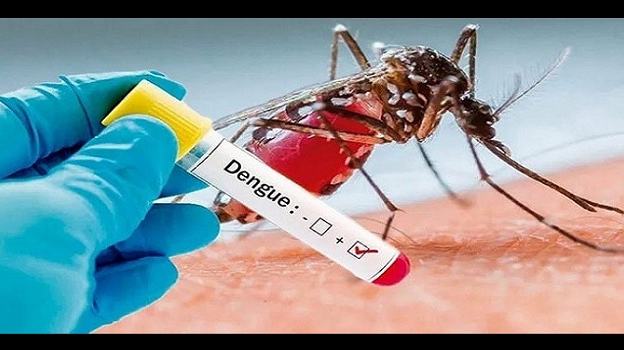 Five more hospitalised with dengue