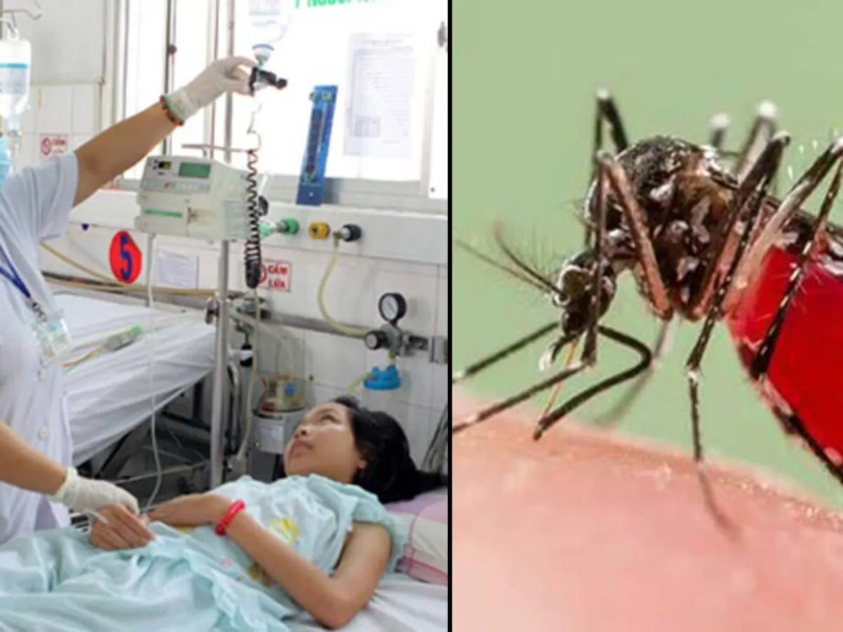 রাজধানীতে মাথাচাড়া দিচ্ছে ডেঙ্গু