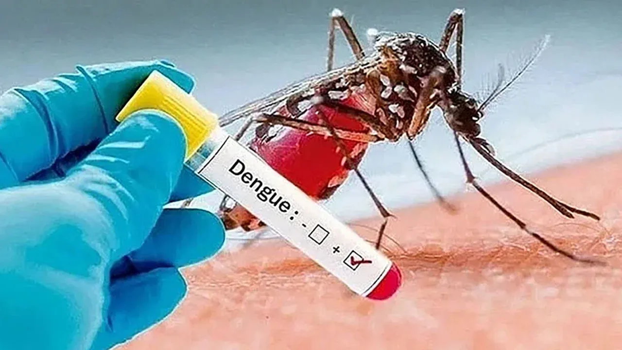 ডেঙ্গুতে আরও ২ জনের মৃত্যু