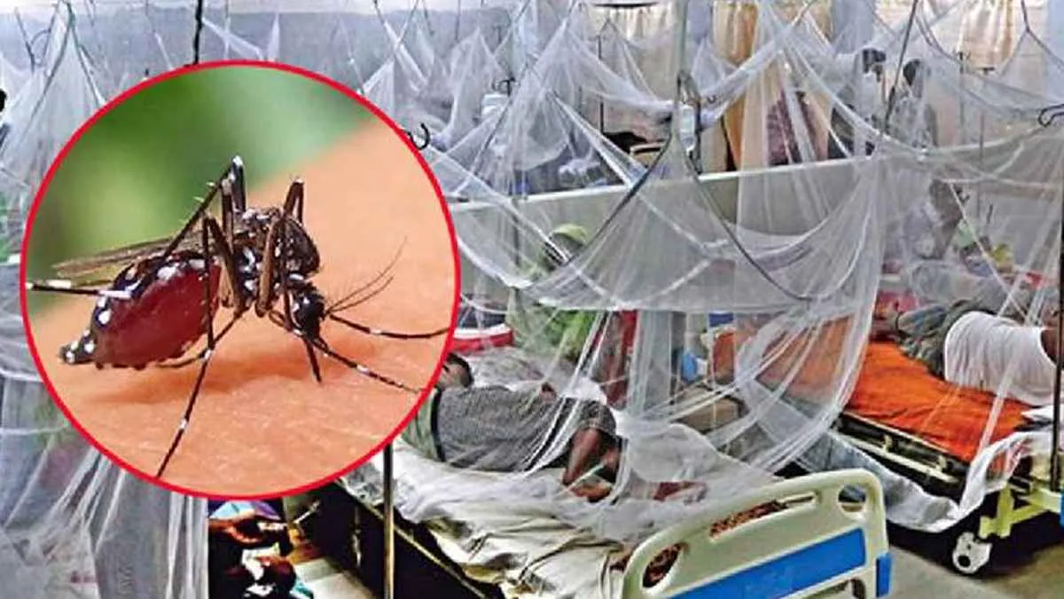 ডেঙ্গুতে আরও ৭ জনের মৃত্যু