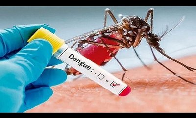 Dengue