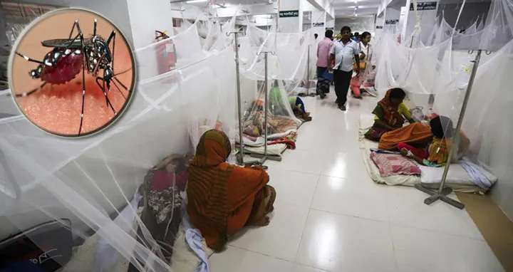 ২৪ ঘণ্টায় আরও ৭৫ ডেঙ্গু রোগী হাসপাতালে ভর্তি