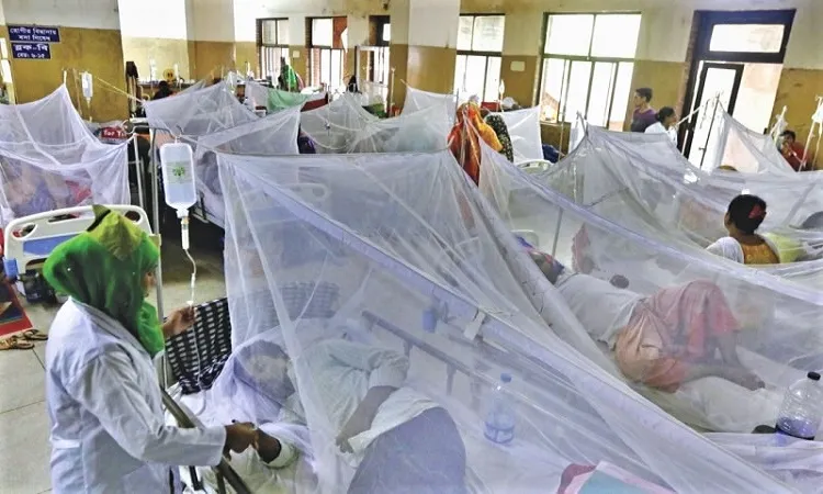 22 new dengue patients hospitalised