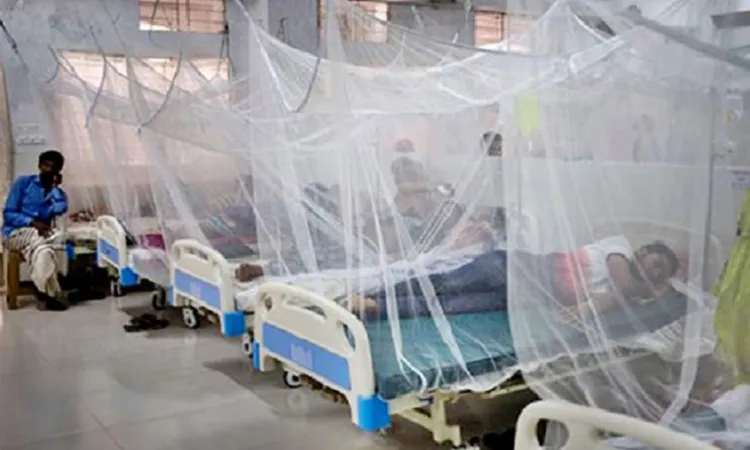 Dengue menace: 4 die, 426 cases reported in 24hr