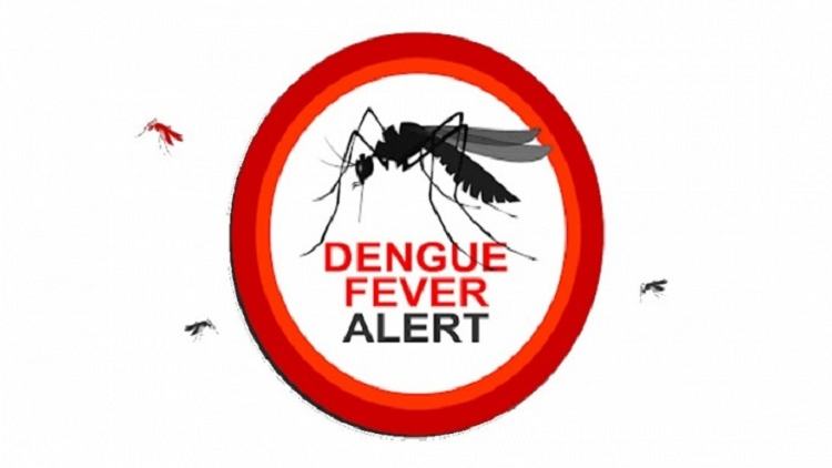 Dengue menace: 3 die, 436 hospitalised in 24hrs