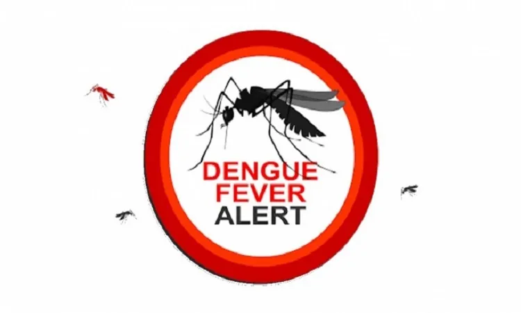 Dengue menace: 3 die, 436 hospitalised in 24hrs