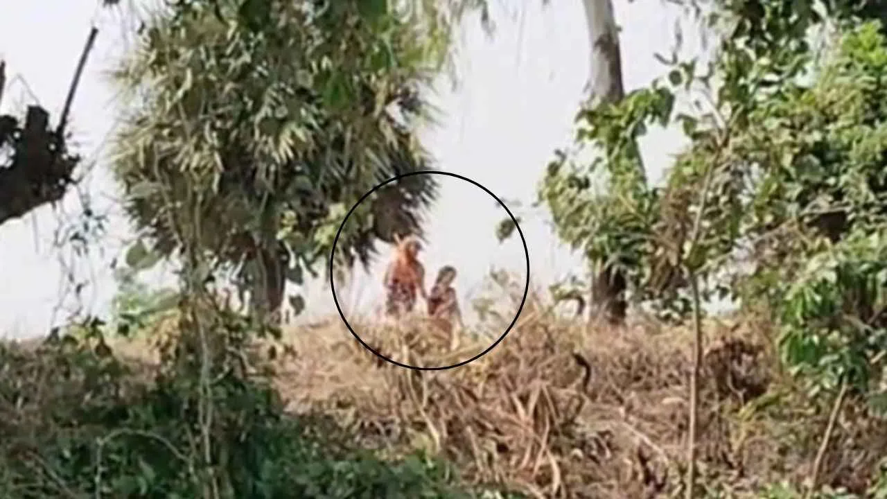 ফুলবাড়ী সামীন্তে ভারতীয় নারী-শিশুকে পুশইন বিএসএফের
