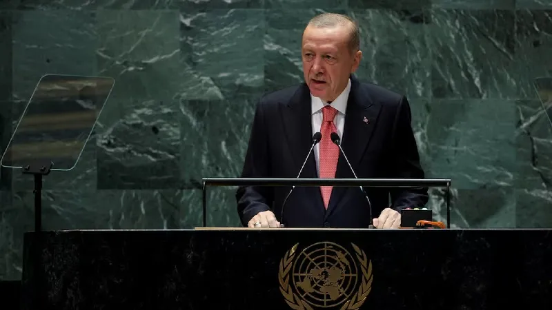 UN should recommend use of force if Israel not stopped: Erdogan