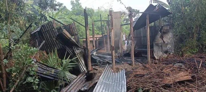মাগুরায় অগ্নিকাণ্ডে গৃহকর্ত্রীসহ নিহত ২