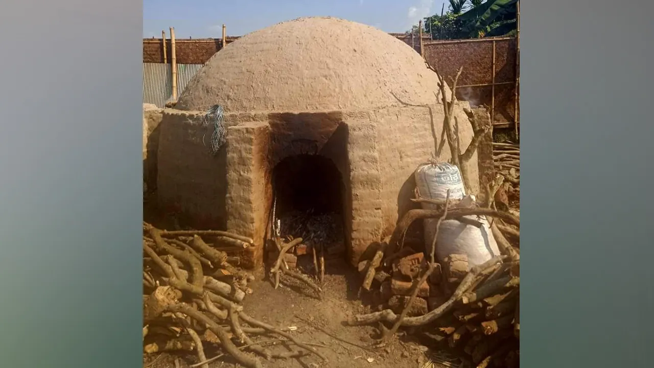 কাঠ পুড়িয়ে কয়লা তৈরি, হুমকিতে পরিবেশ