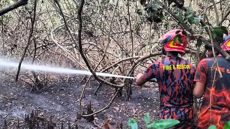 Fire1_20250322_205354189