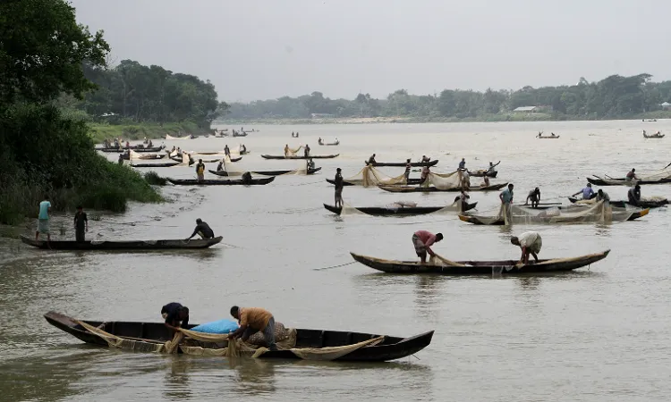 Small fishers ensure big contribution to food, nutrition security: experts