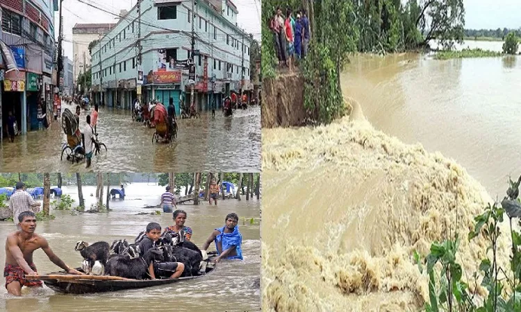 বন্যা মোকাবিলায় গুরুত্ব বাড়াতে হবে