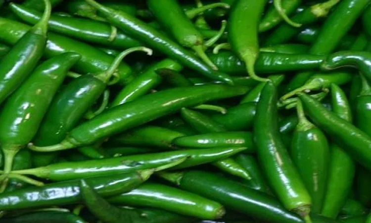 কাঁচা মরিচের উপকারিতা