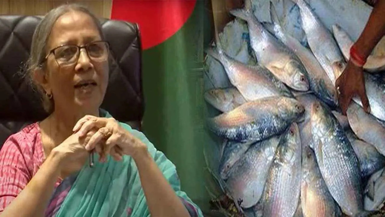 ক্ষমা চাচ্ছি, ভারতে কোনো ইলিশ পাঠাতে পারবো না