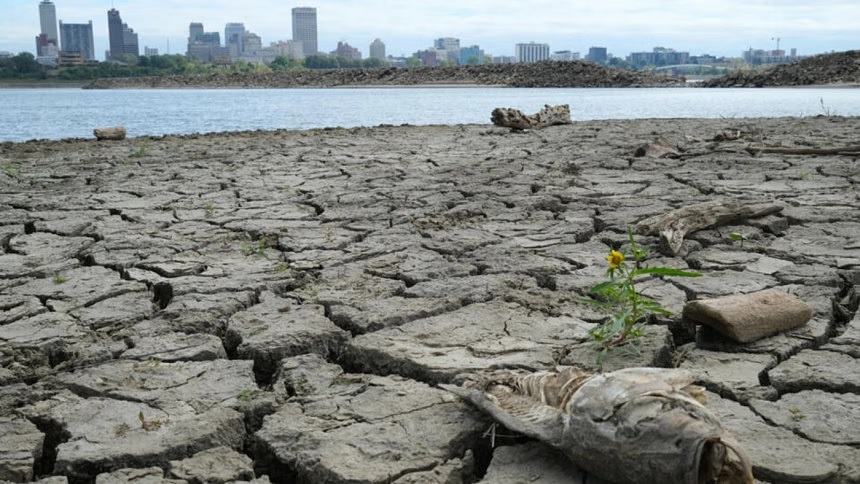 Hottest October globally marks fifth record-shattering month