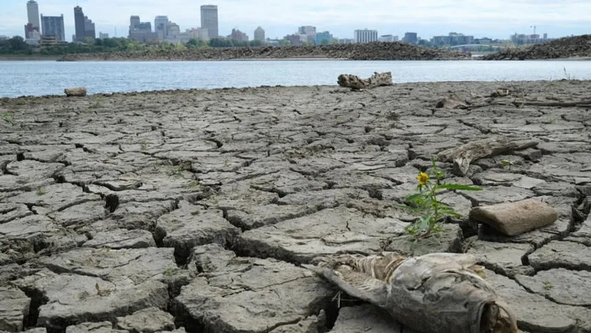 Hottest October globally marks fifth record-shattering month