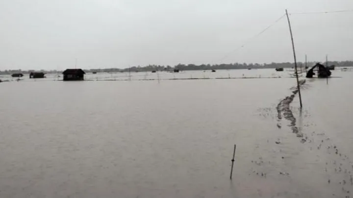 ভারী বর্ষণে ১১০০ হেক্টর জমি ক্ষতিগ্রস্ত