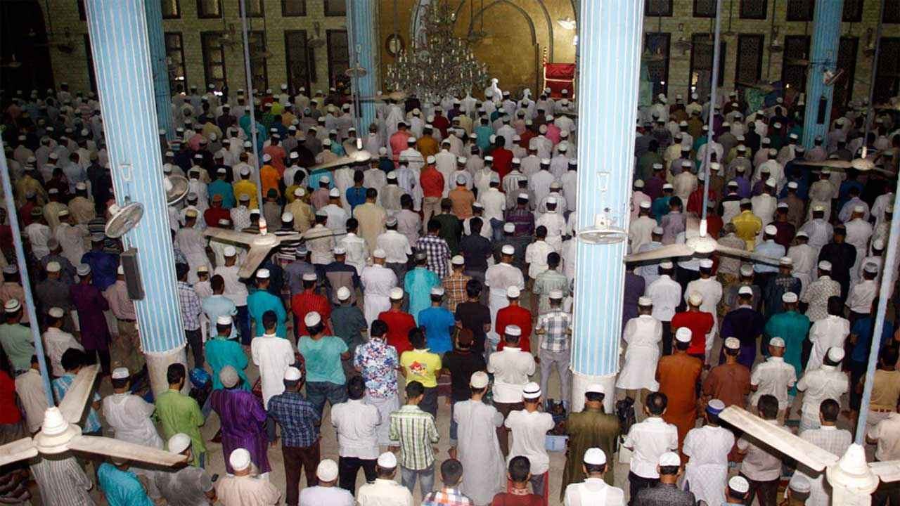 Kadar_20260316_195022239