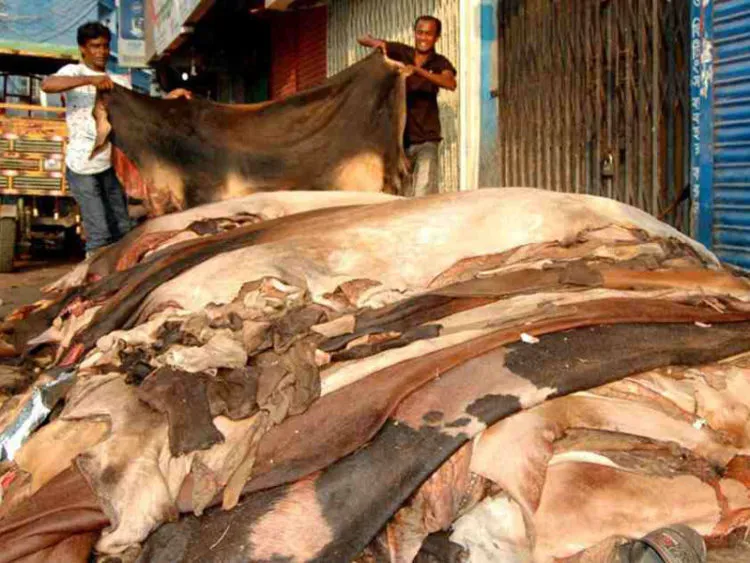 চামড়ার নতুন দাম নির্ধারণ