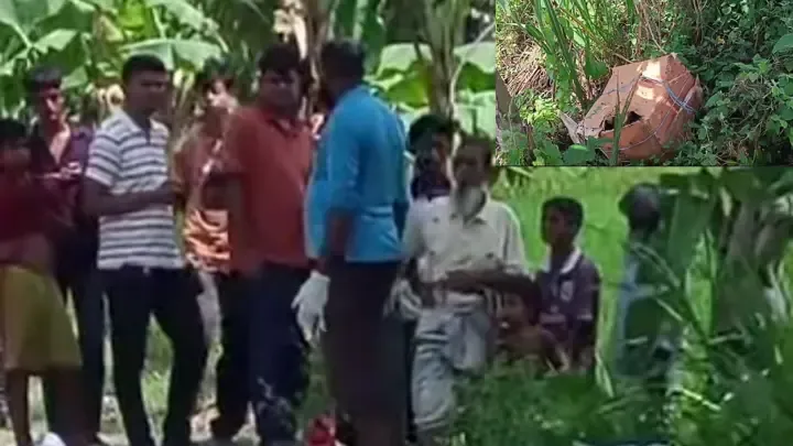 কার্টন খুলতেই মিলল ছয় টুকরো মরদেহ