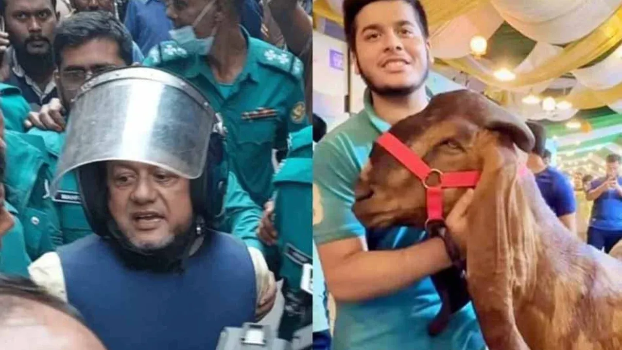 ছাগলকাণ্ডে মতিউরের বিচার শুরু