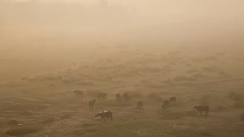 Can artificial rain tackle worsening air pollution in Delhi?