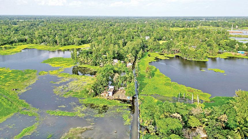Half of Noakhali still reeling from flood