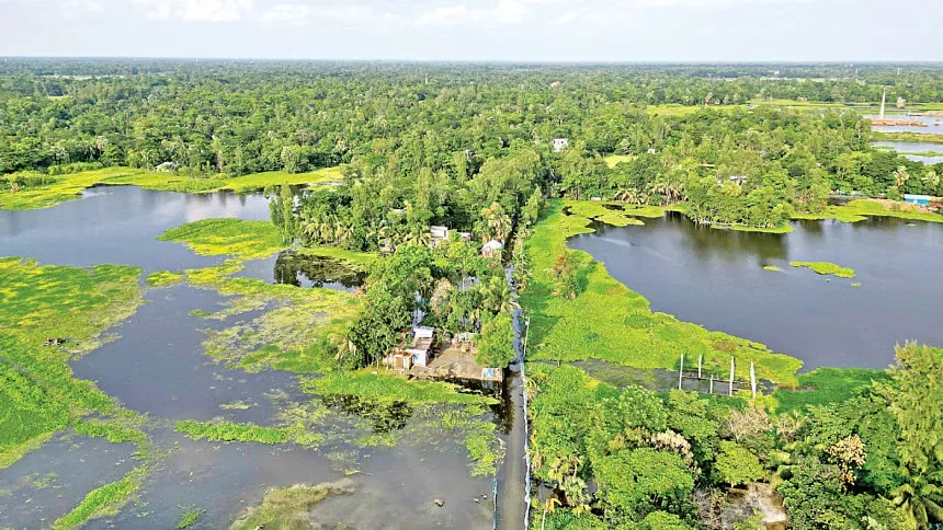 Half of Noakhali still reeling from flood