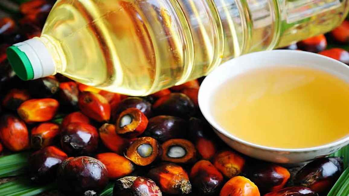 Oil_20250812_132834568