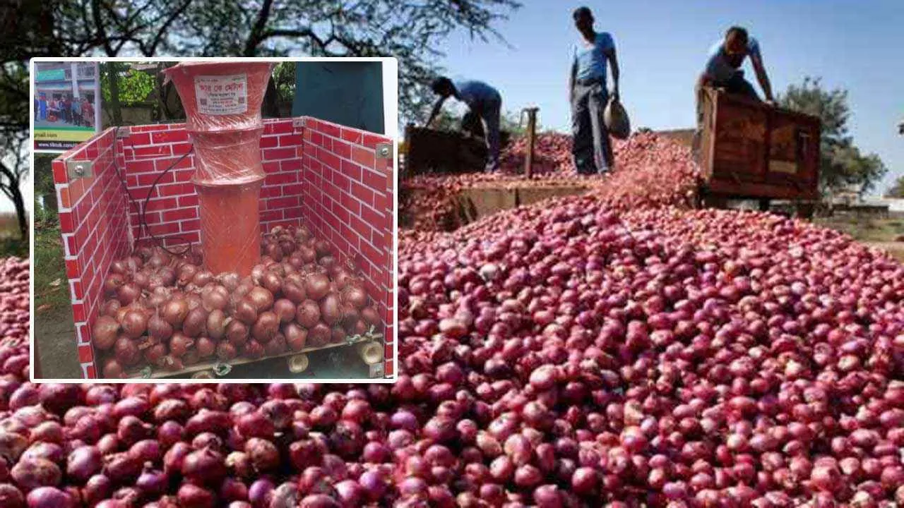 পেঁয়াজ সংরক্ষণে বড় উদ্যোগ, বসবে ৮ হাজার এয়ার-ফ্লো মেশিন