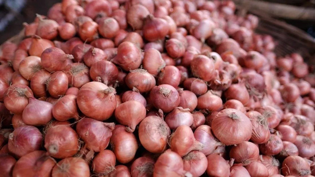Onion prices increased by Tk20-30 per kg in Jessore
