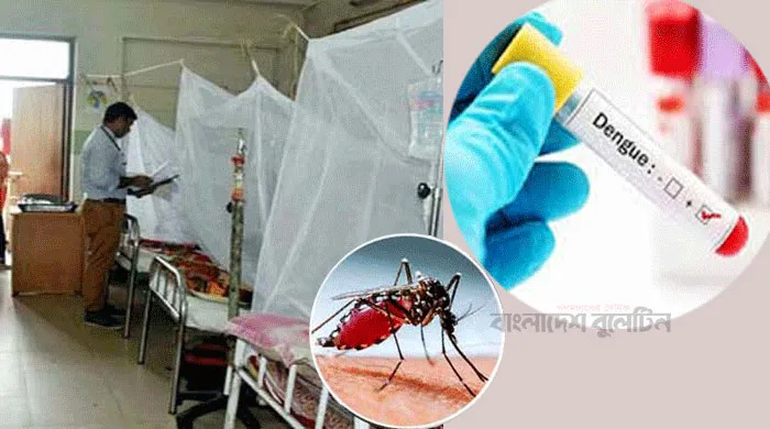 ডেঙ্গু আক্রান্ত হয়ে হাসপাতালে ভর্তি ৪৭