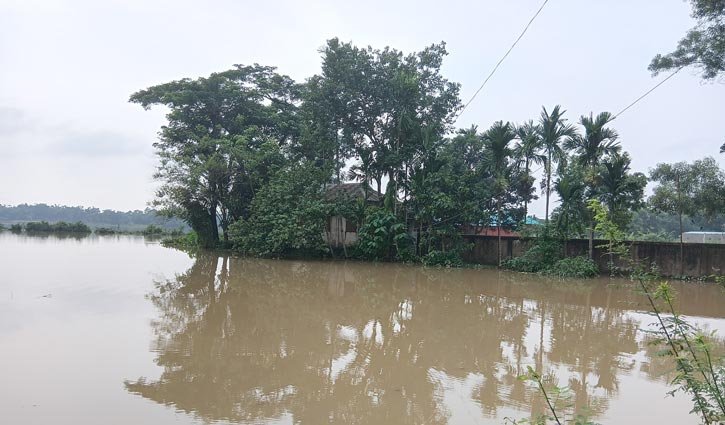 PANI-2506031442