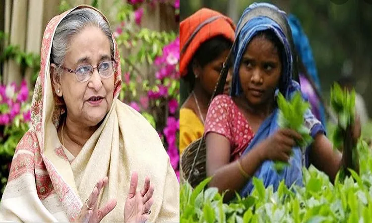 চা-বাগান মালিকদের সঙ্গে প্রধানমন্ত্রীর বৈঠক আজ