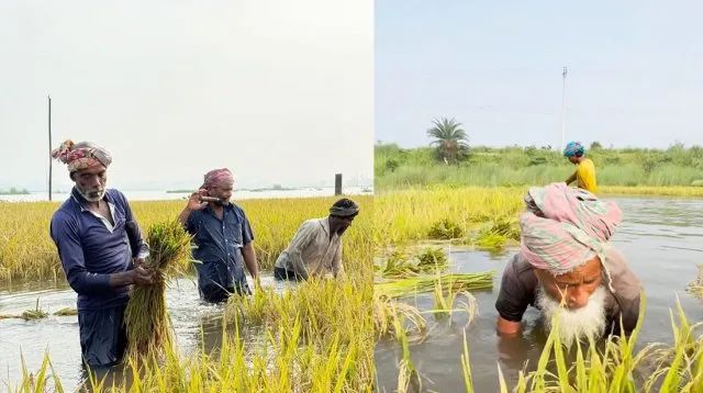 বন্যায় ক্ষতিগ্রস্তদের তিন মাস সহায়তা দেবে সরকার