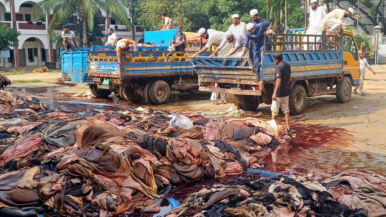 Qurbani3_20250607_215353676_20250611_093058554