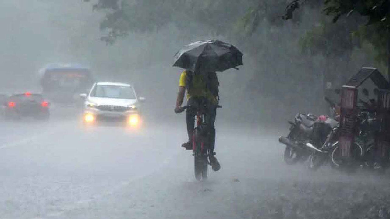 Rain