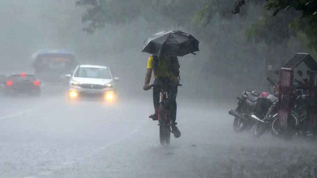 Rain