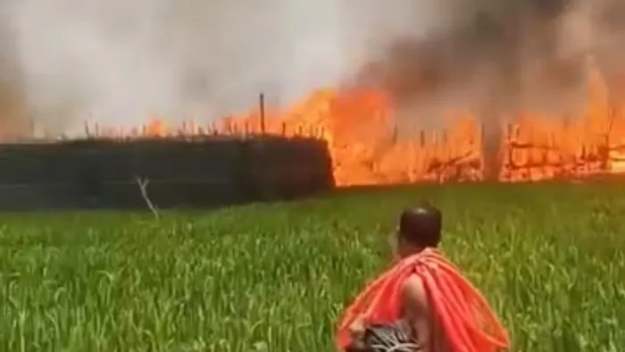 সিগারেটের আগুনে পুড়ল শত বিঘা জমির পানের বরজ