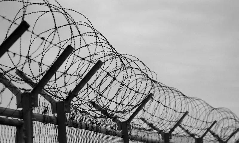 2 Bangladeshis injured in BSF firing